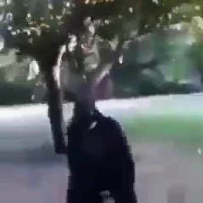 Plátano Torino 2 Leaked