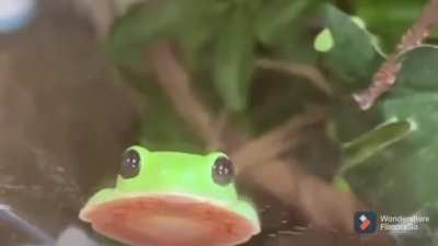 Just a cute little guy