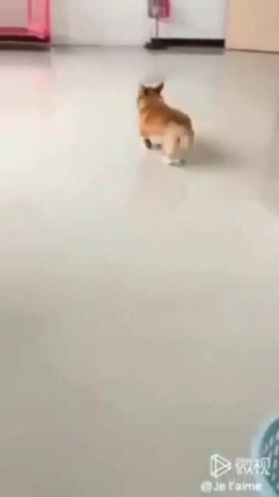 The suspect returns to the scene of the crime