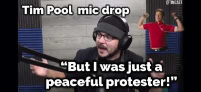 But but ... I was just a peaceful protester! 😭