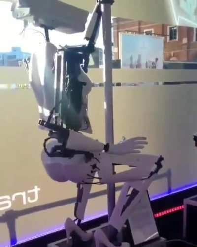 The Cyberpunk we deserve