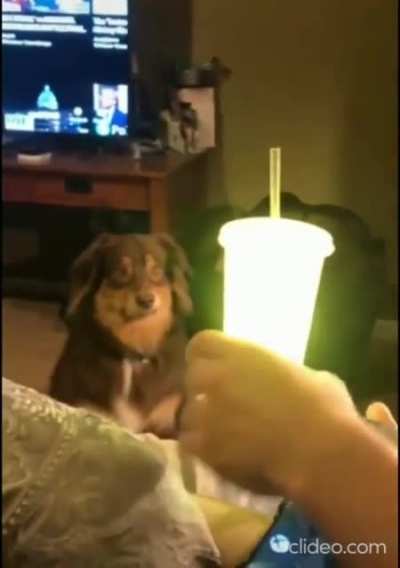 He&rsquo;s seen the light