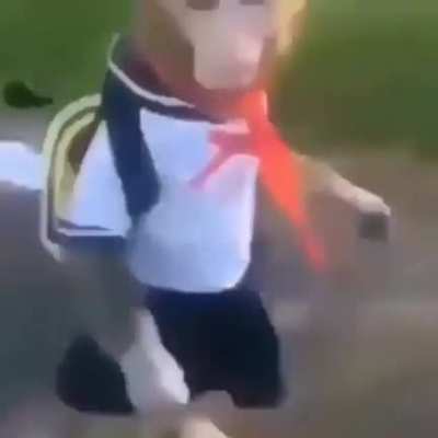 anime monke