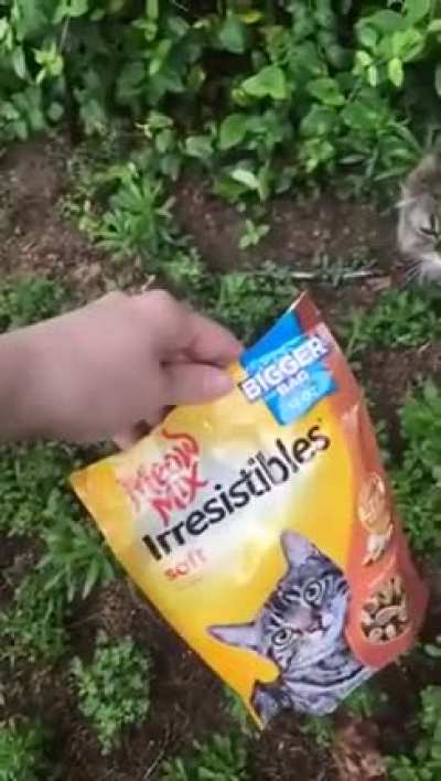 No, It's Meow Mix