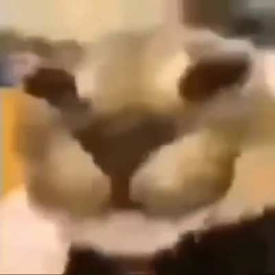 :]