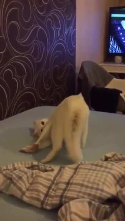 Did I fall