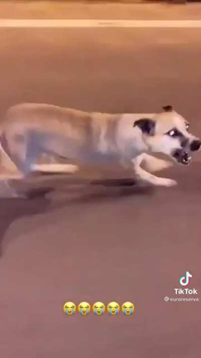 Ele n&atilde;o aguenta mas