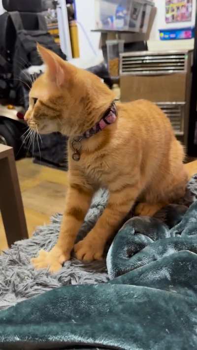 Lupin was determined until someone drew her attention