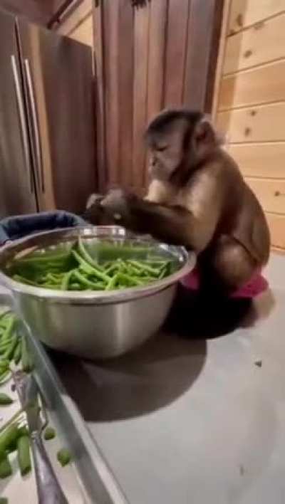 virou cozinheiro man&eacute;