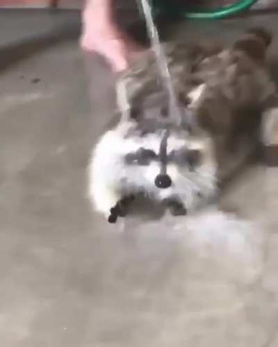"gimme gimme gimme..oh heck"