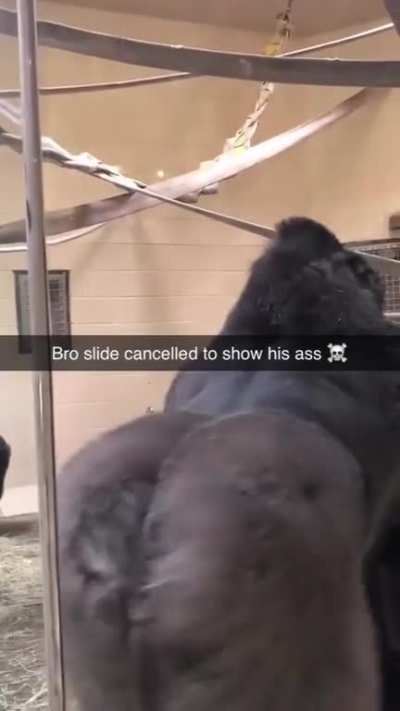 That slide