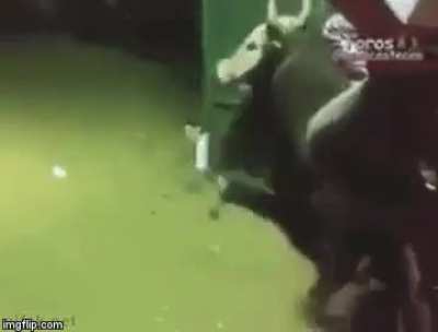 He did not see that coming