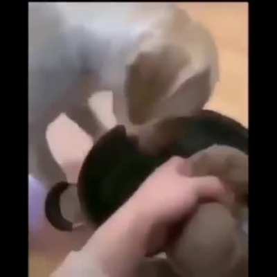 el no &hellip; t&oacute;mame a mi