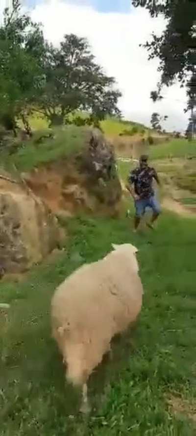 Perfect timing