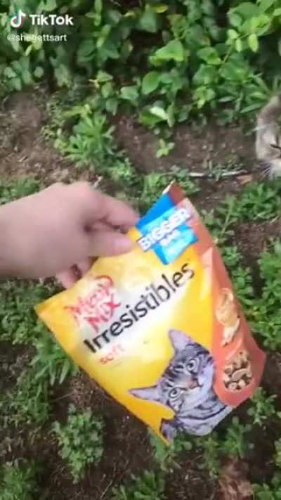 "Irresistibles"