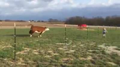 Two happy friends decide to have a race