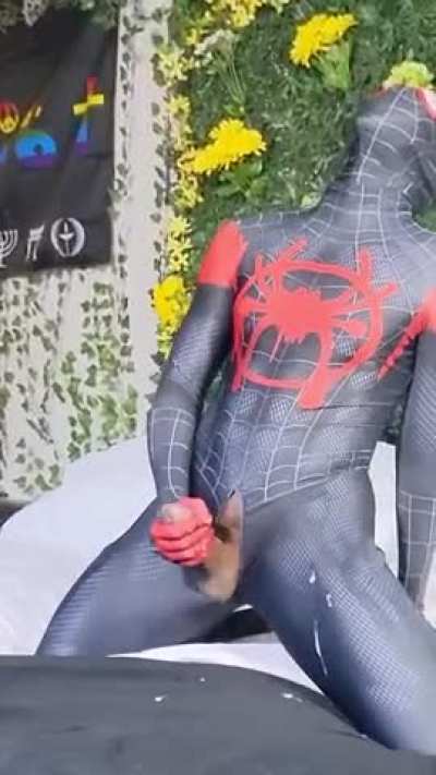 Spider Web!