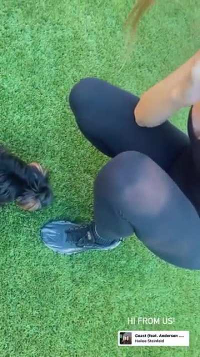 Hailee Steinfeld