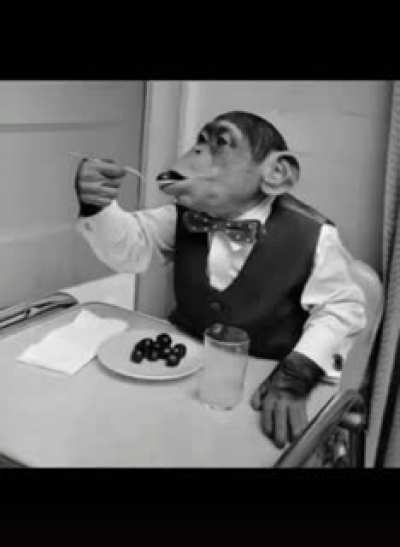Monke