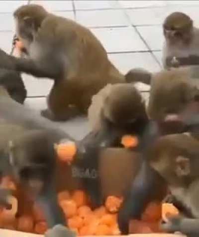 Lunch time