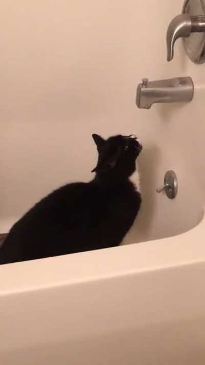 Slurp slurp slurp