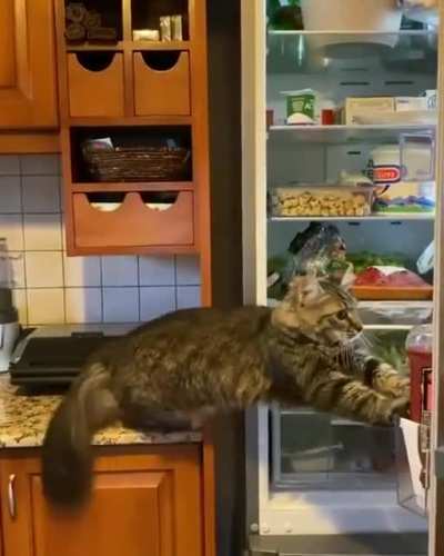 Thief