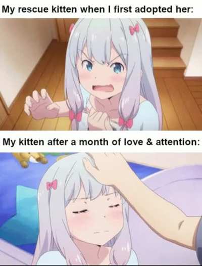 And I don't regret it one bit :3