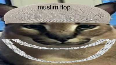 mashallah brother flop.
