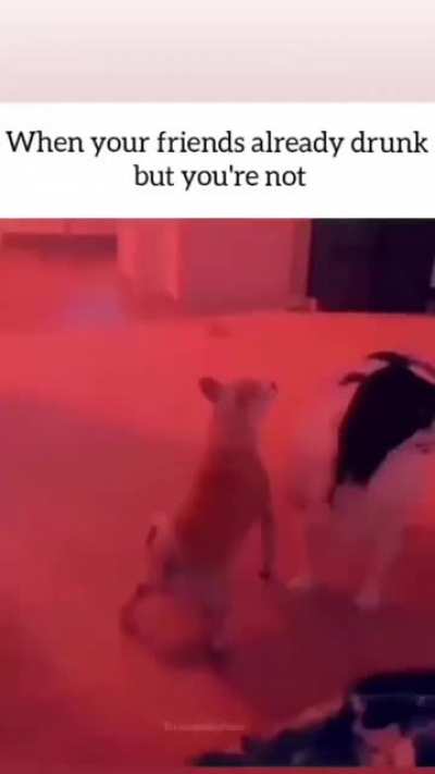 🌝