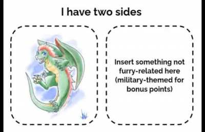 furry irl