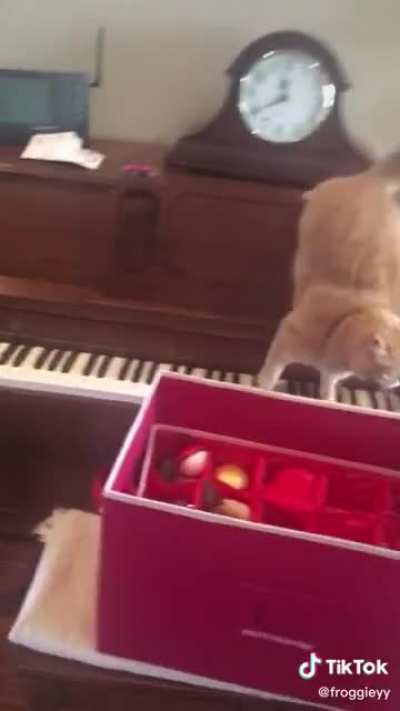 Terrifying piano!