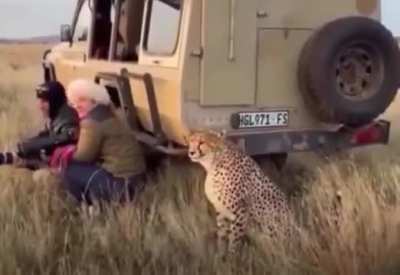 "Hey guys! What are we looking at?&rdquo; 😅