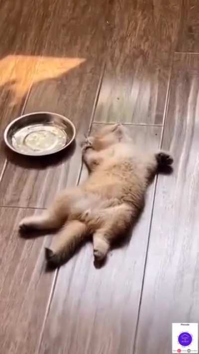 Well, I'm full.