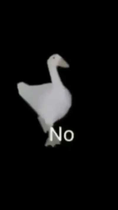 N o
