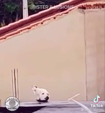 Tf?