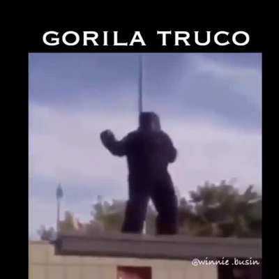 Gorila truco gente