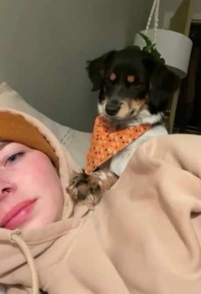DoG DeCApiTatES OWnEr iN BLinD RaGe