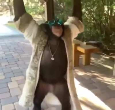 Yo he&rsquo;s looking pretty fly tho