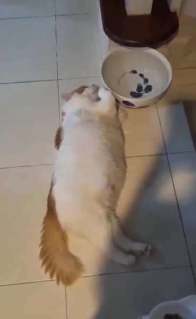 Belly Fat Ice Trick: Ur Doin' It Wrong...