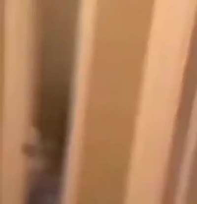 Felt this was worth being here. Will delete if it's already here