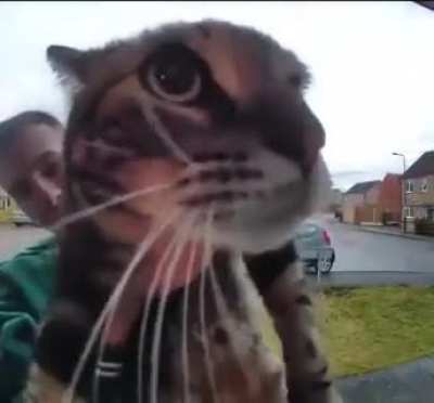 mrow