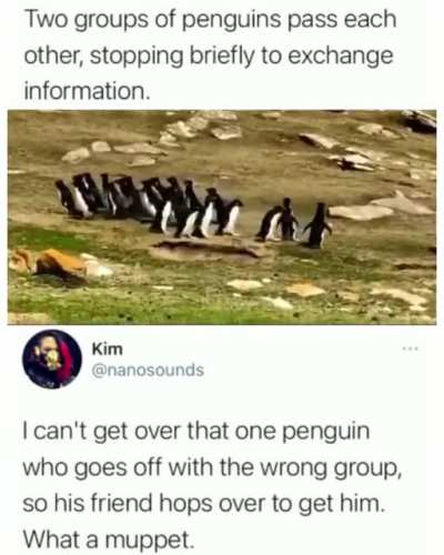 me_irl