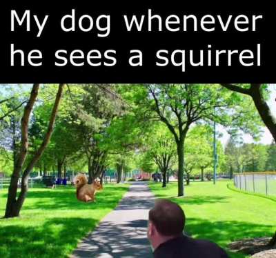 The squirrel better run