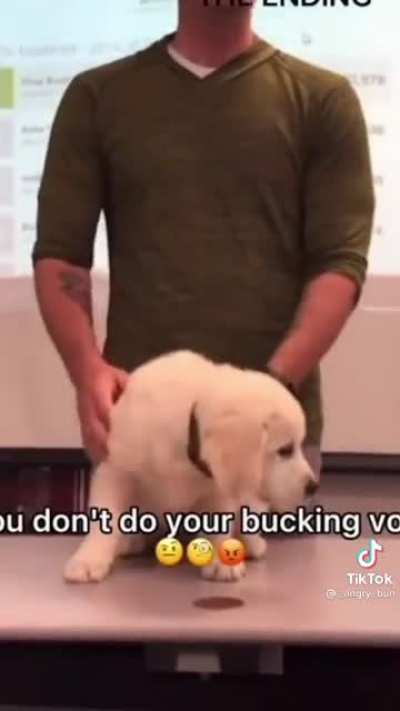 You heard the man