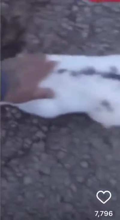 RIP