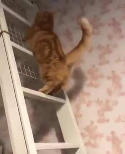Прыг-скок