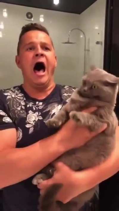 Терпеть не могу когда фальшивят! Убить готов! (c)