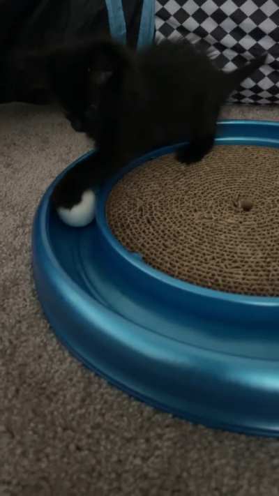 &ldquo;The toy&rdquo; has been discovered. Wait for the back flip 😅