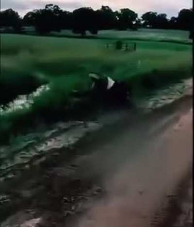 That&rsquo;s Going To Leave A Mark&hellip;