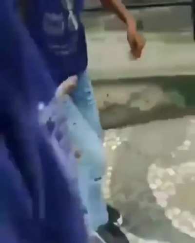oi, censa... pode cachorro estudante no grupo? 😳